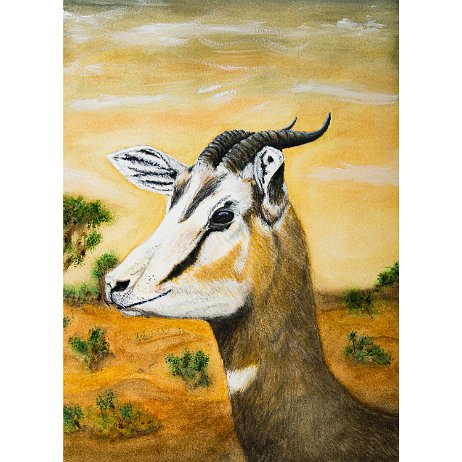 Mhorrgazelle (Nanger dama mhorr) 20220401 - Mhorrgazelle (Nanger dama mhorr) - DSC06732-Edit-3 Instagram Art Mhorrgazelle (Nanger dama mhorr)
