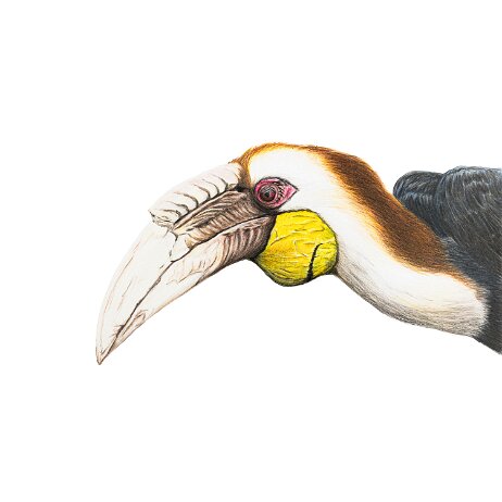 Website 2048px-3 null