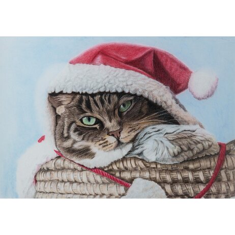 20251225 - Bonny Snowdon - DSC02784-2 null