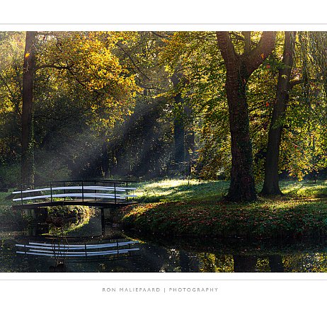 2022-11-12 - Zonneharpen - DSC01415-Edit-2-Edit+border - Instagram Zonneharpen