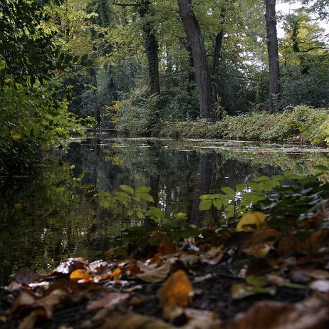 _DSC2078 Donckse bos