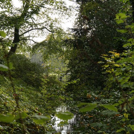 _DSC2168 Donckse bos