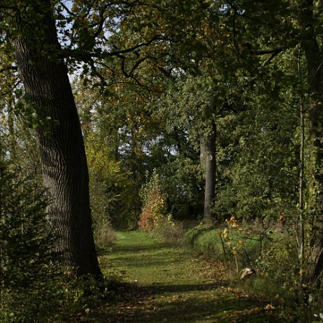 _DSC2169 Donckse bos